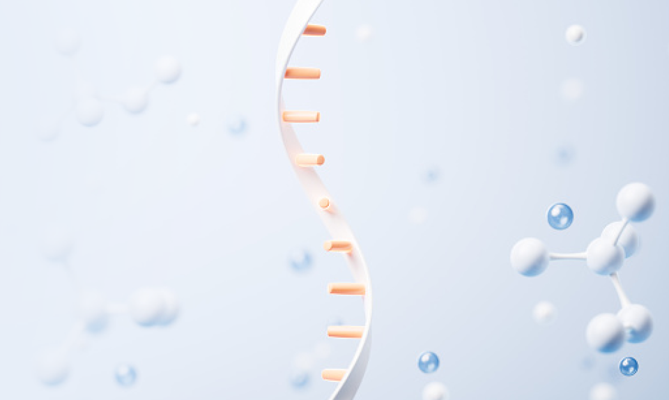 AMM 2025 Innovation Forum