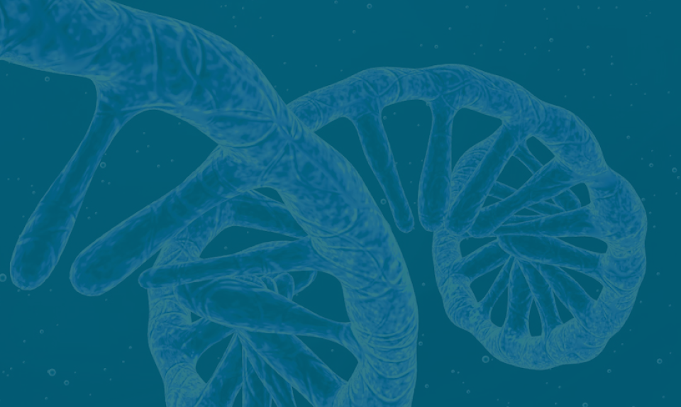 Alliance for mRNA Medicines Leader Testifies Against South Carolina Bill Restricting mRNA Therapies